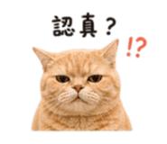 839048135