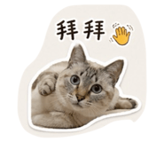 839048194