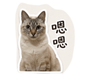 839048199