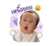 839049566