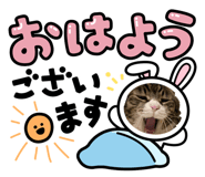 839050150