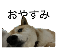 839050241