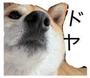 839050242