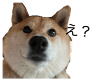 839050244