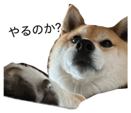 839050245