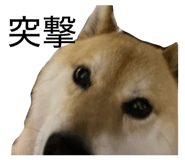 839050246