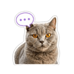 839050337