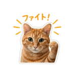 839050340