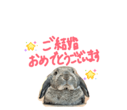 839050346