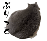 839050777