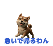 839050802
