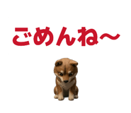 839050803
