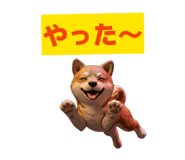 839050807