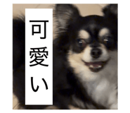 839050891