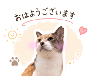 839050969