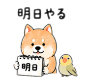 839051253