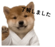 839051473