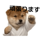 839051482