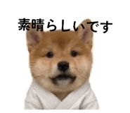 839051487