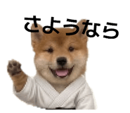 839051488
