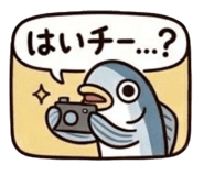 839051691