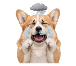 839052050