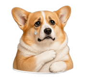 839052054
