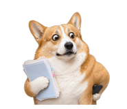 839052055