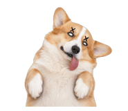 839052056