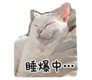 839052977