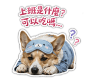839053113