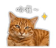 839053241