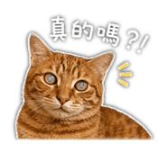 839053245