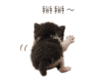 839053412