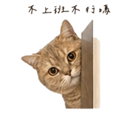 839053525