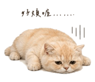 839053534