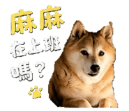 839054321