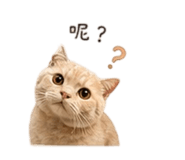 839055165