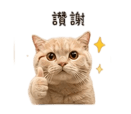 839055169