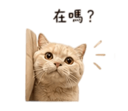 839055171