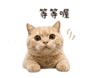 839055172