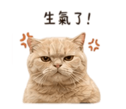 839055179