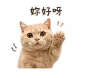 839055180