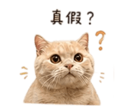 839055183
