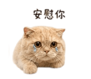 839055184