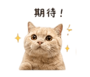 839055185