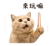 839055187