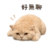 839055188