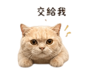 839055189