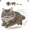 839057057